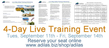 Click to view a 3 page PDF flyer with information about the live 4-day training event and workshop