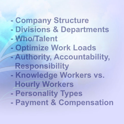 Company Structure - Jellyfish Model - Divisions & Departments, Who/Talent, Optimize Work Loads, Authority, Accountability, Responsibility, Knowledge Workers vs Hourly Workers, Personality Types, Payment & Compensation