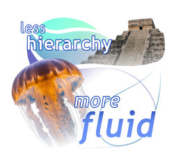 Adilas Jellyfish More Fluid