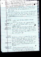 click to enlarge - photo by: Shannon Scoffield - 