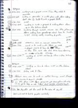 click to enlarge - photo by: Shannon Scoffield - 