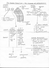 click to enlarge - photo by: Brandon Moore - Small image with some notes from Paul Finnlay (spelling?). Talking about a stress scale and how that affects the brain. It talks about primary and secondary emotions and how they tend to morph or piggyback together. Fun discussion.