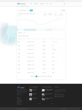 click to enlarge - photo by: Brandon Moore - Mock-up of a single date range with a chart. Mocking up both single date ranges and comparison date ranges. This one only has one dataset on the chart and only one set of details below.