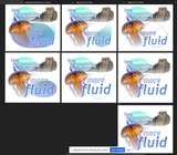 click to enlarge - photo by: Brandon Moore - These are a number of samples and mock-ups for the adilas jellyfish model. These each show some different options. We are leaning towards the number 3 graphic on the top right.