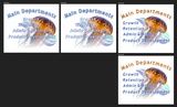 click to enlarge - photo by: Brandon Moore - These are a few more adilas departments in the jellyfish model. We liked the bottom most graphic (number 4). Artwork done by Abby.