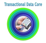 click to enlarge - photo by: Brandon Moore - Adilas Value Add-On Core Graphic by Abby Elkins. Layer 1 - The adilas transactional data core