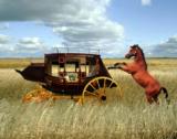 click to enlarge - photo by: Brandon Moore - New horse and cart or cart and horse, whichever way you want to say it. This image was submitted by Dave Forbis. We love this analogy. See other entries for more details.