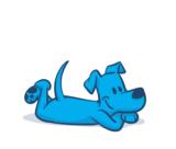 click to enlarge - photo by: Brandon Moore - Adilas dog image - 