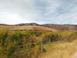 click to enlarge - photo by: Brandon Moore - All of the fall colors are in full display as the runners do the strenuous 100 mountain based course through trails and roads. Yellows, reds, oranges, greens, browns, and every other shade you can think of. Mountains and hills as far as you can see.