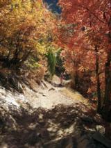 click to enlarge - photo by: Brandon Moore - Beautiful fall colors during the Bear 100 mile race. Last week in September.