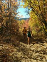 click to enlarge - photo by: Brandon Moore - Often runners will run as a pair, helping to cheer each other along and set a pace for the long haul.