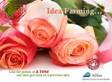 click to enlarge - photo by: Brandon Moore - We tend to start with an idea and then it gets added onto, over and over again. If you were to draw it out, it tends to look like a rose with different petals and layers. We call it idea farming. Something happens and then it gets added to. Idea farming!