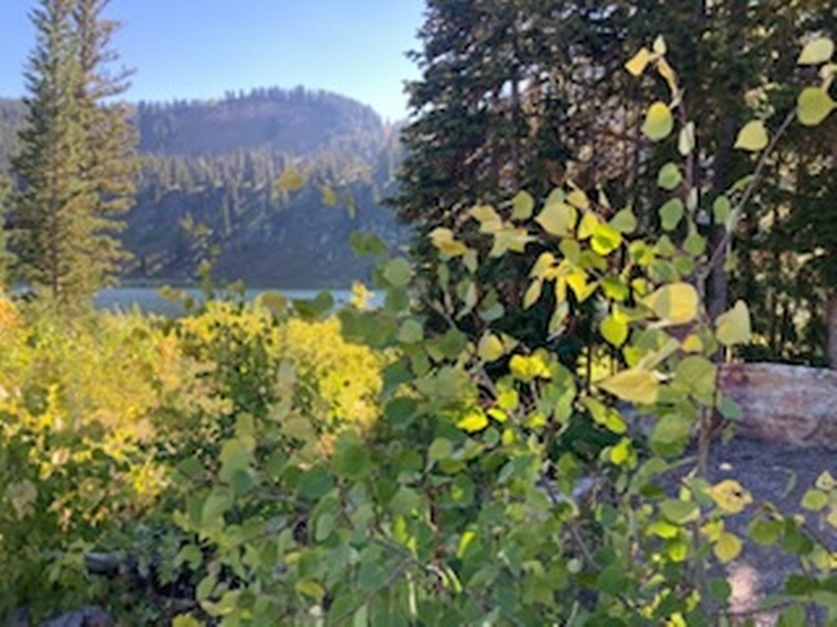 click to enlarge - photo by: Bear 100 Runner Support - 