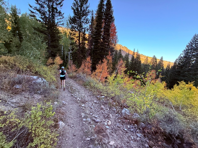 Photo by: Bear 100 Runner Support