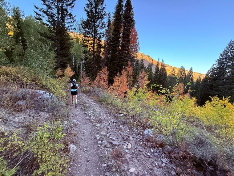 Photo by: Bear 100 Runner Support