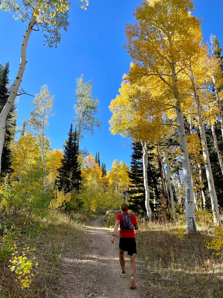 Photo by: Bear 100 Runner Support