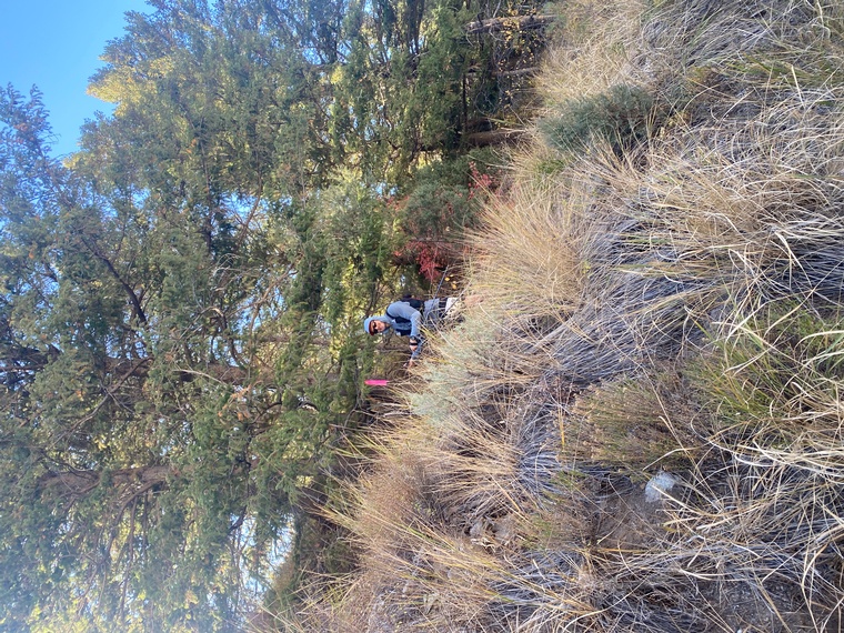 click to enlarge - photo by: Bear 100 Runner Support - Leaving Temple Fork right on schedule