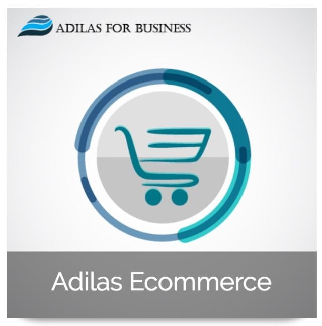Adilas For Business E-Commerce Set Up and Training
