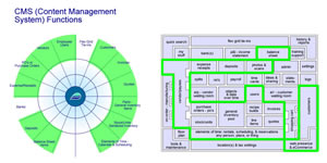 3. CMS (Content Management System)